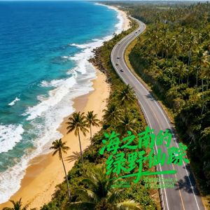 海之南的绿野仙踪