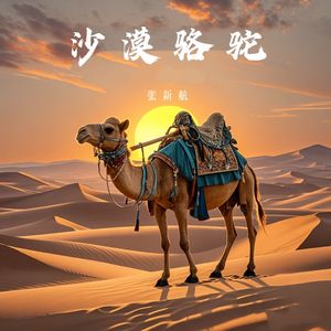 沙漠骆驼