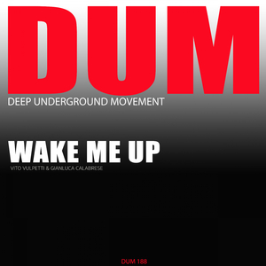 Wake Me Up (Original Mix)