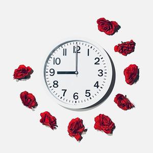 she won't love you like I did