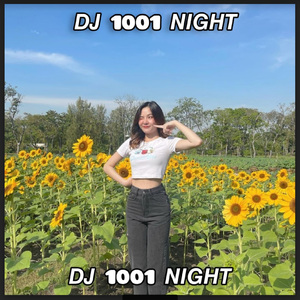DJ 1001 NIGHT