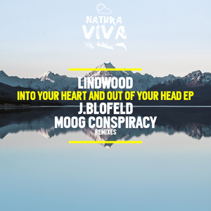 Get Out of Your Head (Moog Conspiracy Remix)
