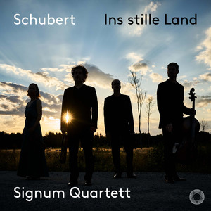 Ins stille Land, D 403 (Arr. for string quartet by Xandi van Dijk)