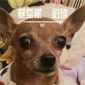 寒窑赋·绣球