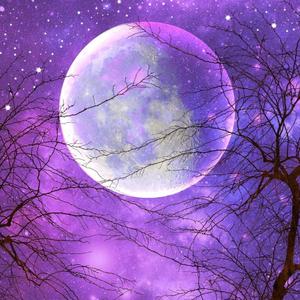 Purple Moon