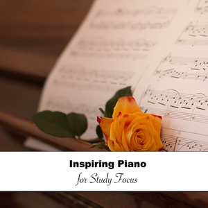 Beethoven's Sonata No 11 in B Flat Major Op 22 I Allegro con Brio