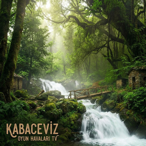 Kabaceviz