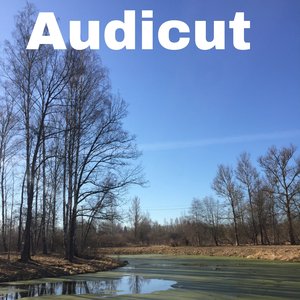Auditor