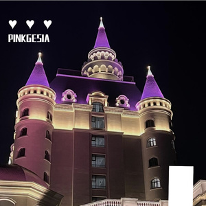 Love Love Love（PINKGESIA REMIX）