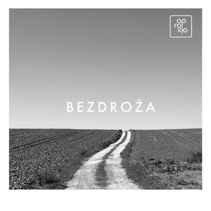 Bezdroża
