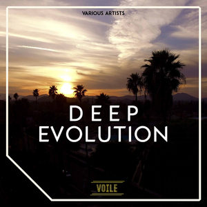 Toyomen (Original Mix)