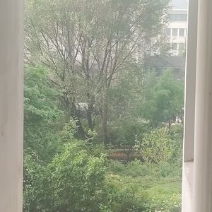 春日午后