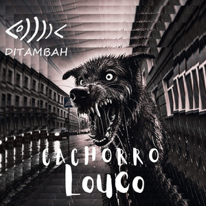 Cachorro Louco
