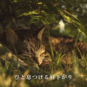 ひと息つける昼下がり