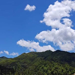静聆竹息
