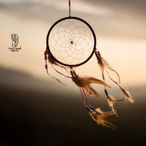 Echoes of the Ancestors