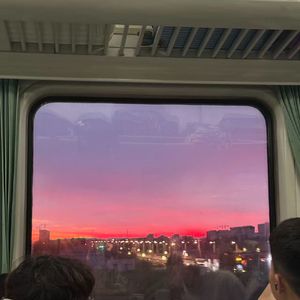 藤蔓与港湾