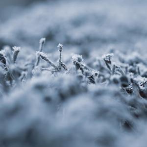 声之形+日常+京吹+CL钢琴翻奏（翻自 京都动画）