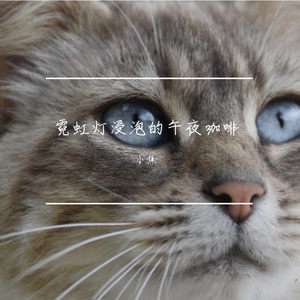 霓虹灯浸泡的午夜咖啡