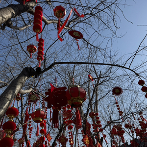 年年有鱼家安康