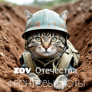 Фронтовые коты.