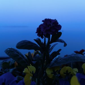 泡沫的12345 第5首编曲 无水印
