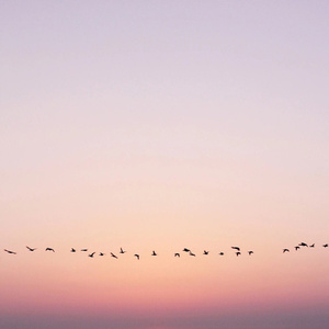 我就站在冷风中