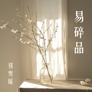 易碎品