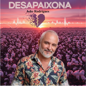 Desapaixona