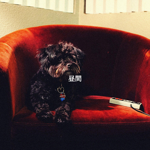 Casual (Unwinding Mode)