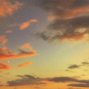 Then Embrace the Echoes