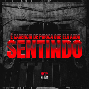 É Carencia de Piroca Que Ela Anda Sentindo