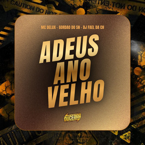 ADEUS ANO VELHO (ARROCHA FUNK)