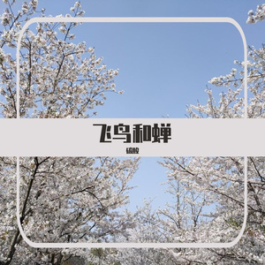 飞鸟在星晴中不能说的秘密