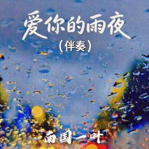 爱你的雨夜