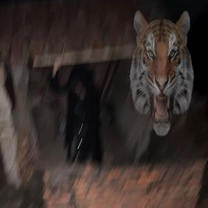 丢 (feat. 别吵架了可以吗 & 因抑郁身亡已注销)