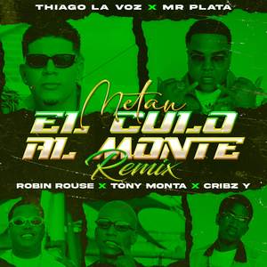 Metan El Culo Al Monte - Remix