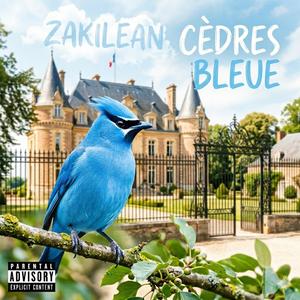 cèdre bleue