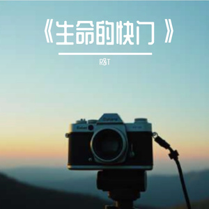 《生命的快门》