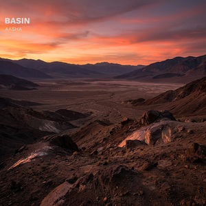 Basin