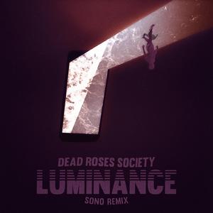 Luminance (Sono Remix)