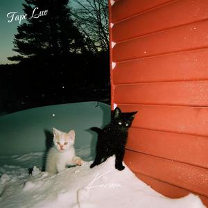 Tape Luv（Prod.xw.danger）