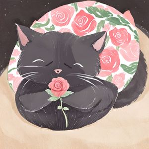 请用魔法把我变成一只小黑猫