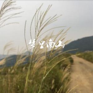 梦里南山demo