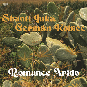Romance Árido