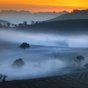 忘记生命只需呼吸