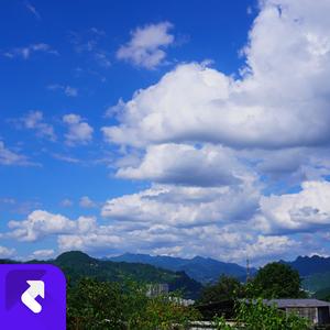 心如寒夜冰雨 (现场)