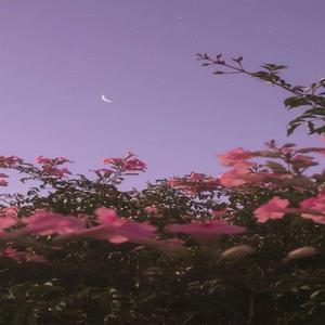 宝贝成长律动（胎教音乐）