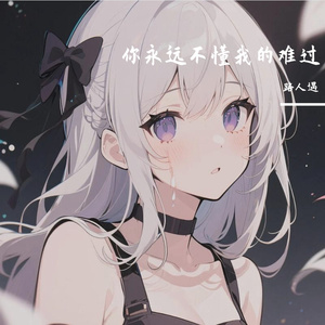 你永远不懂我的难过