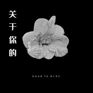 关于你的